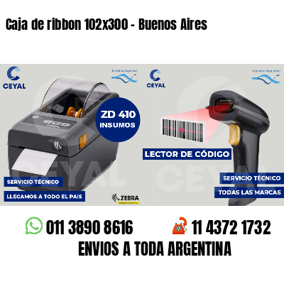 Caja de ribbon 102x300 - Buenos Aires