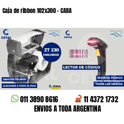 Caja de ribbon 102x300 - CABA