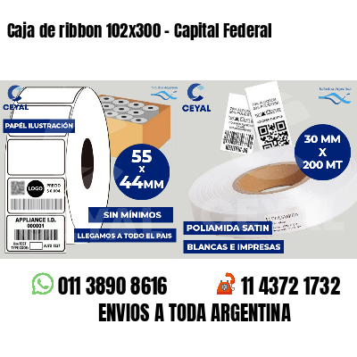 Caja de ribbon 102x300 - Capital Federal