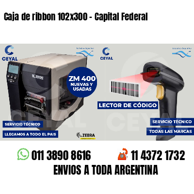 Caja de ribbon 102x300 - Capital Federal