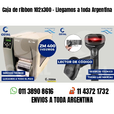 Caja de ribbon 102x300 - Llegamos a toda Argentina