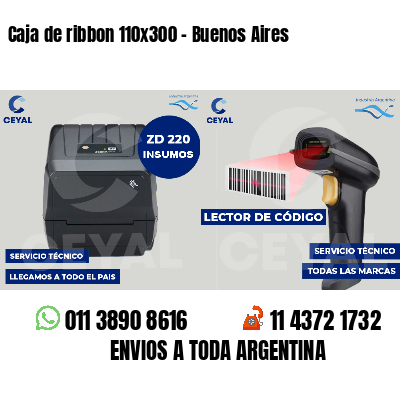 Caja de ribbon 110x300 - Buenos Aires