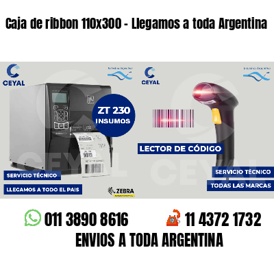 Caja de ribbon 110x300 - Llegamos a toda Argentina