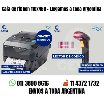Caja de ribbon 110x450 - Llegamos a toda Argentina