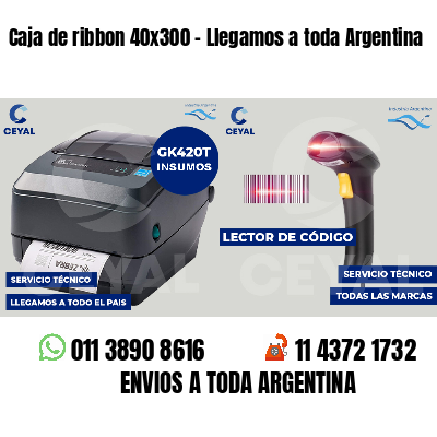 Caja de ribbon 40x300 - Llegamos a toda Argentina