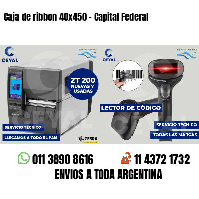 Caja de ribbon 40x450 - Capital Federal