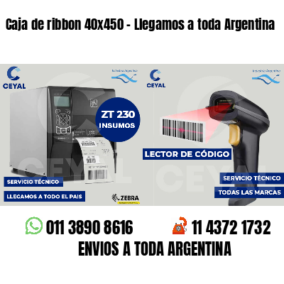 Caja de ribbon 40x450 - Llegamos a toda Argentina