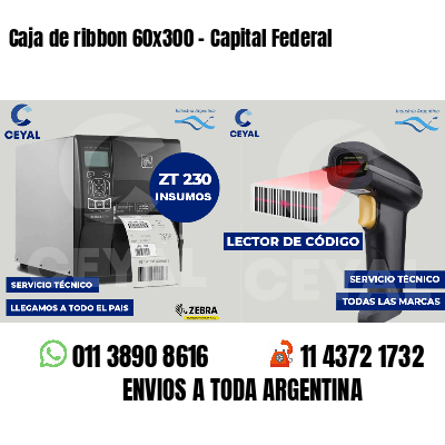 Caja de ribbon 60x300 - Capital Federal