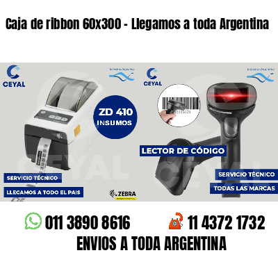 Caja de ribbon 60x300 - Llegamos a toda Argentina