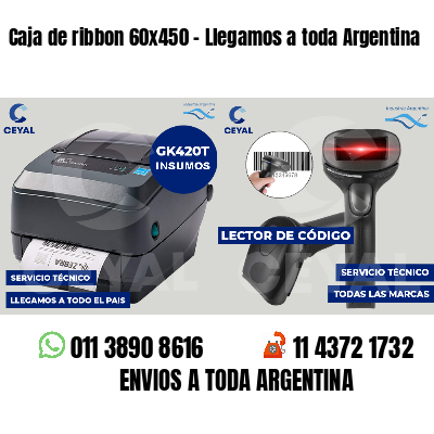 Caja de ribbon 60x450 - Llegamos a toda Argentina