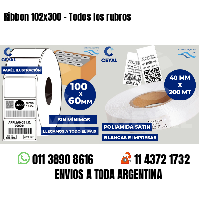 Ribbon 102x300 - Todos los rubros
