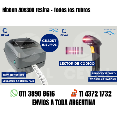 Ribbon 40x300 resina - Todos los rubros