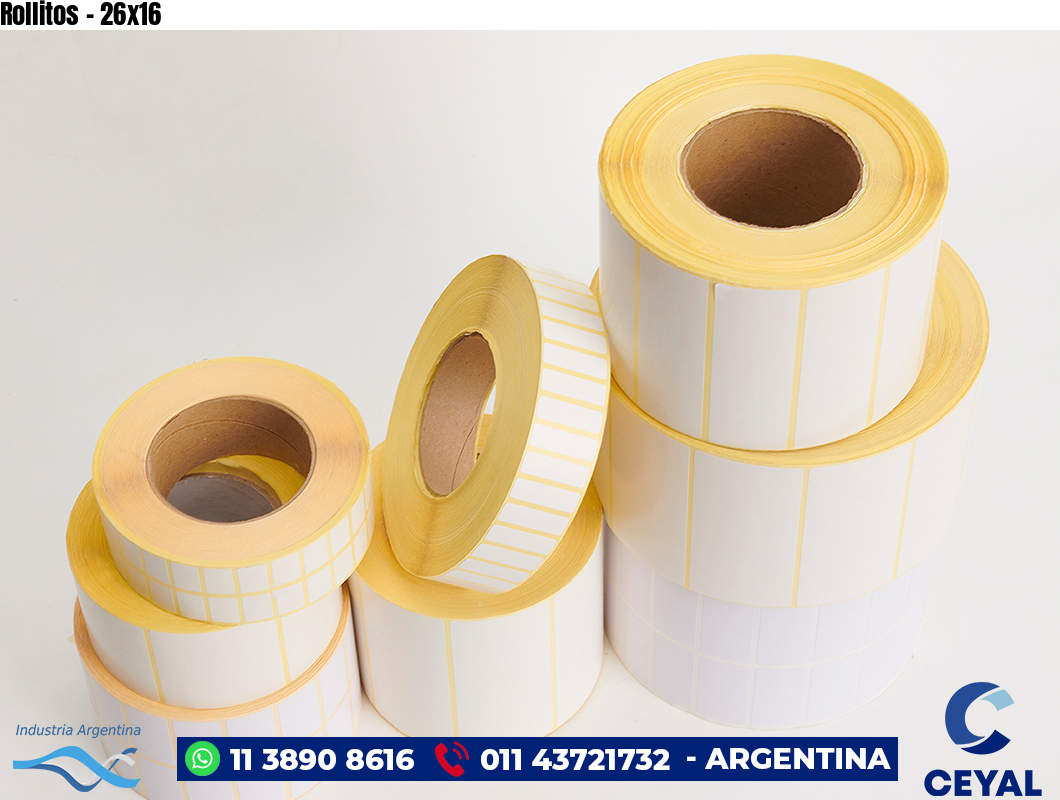 Rollitos - 26x16