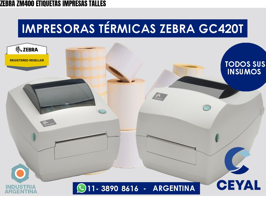 ZEBRA ZM400 ETIQUETAS IMPRESAS TALLES