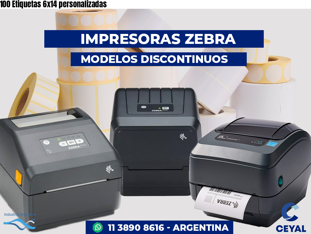 100 Etiquetas 6x14 personalizadas