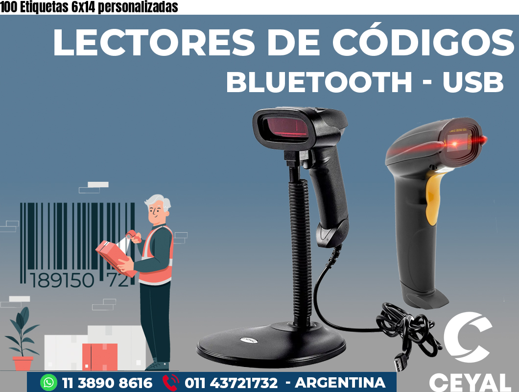 100 Etiquetas 6x14 personalizadas