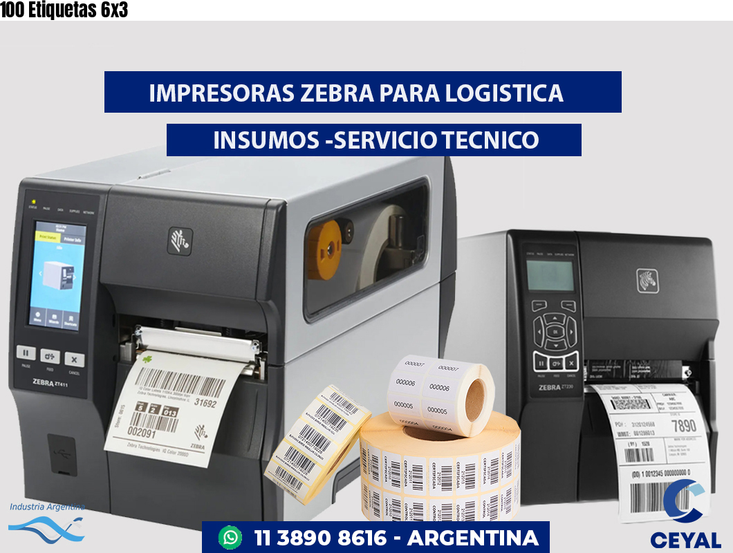 100 Etiquetas 6x3
