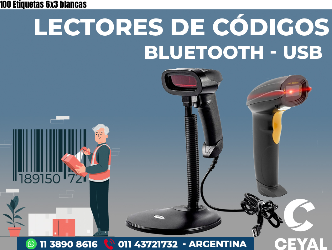 100 Etiquetas 6x3 blancas