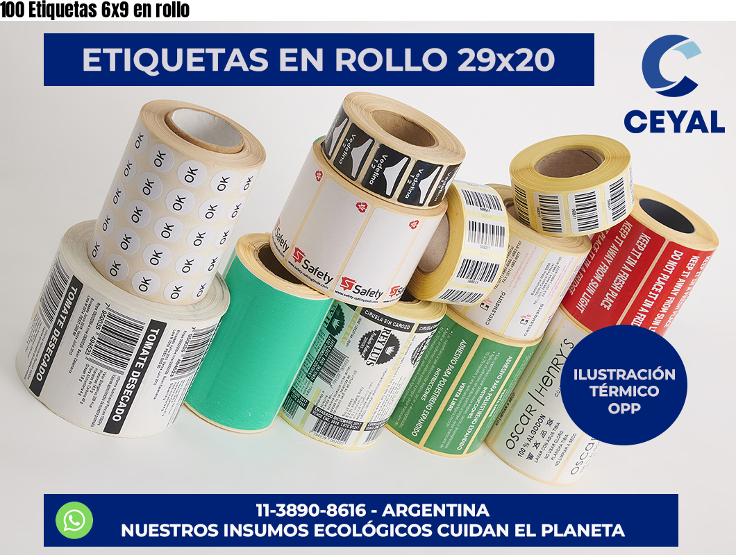 100 Etiquetas 6×9 en rollo