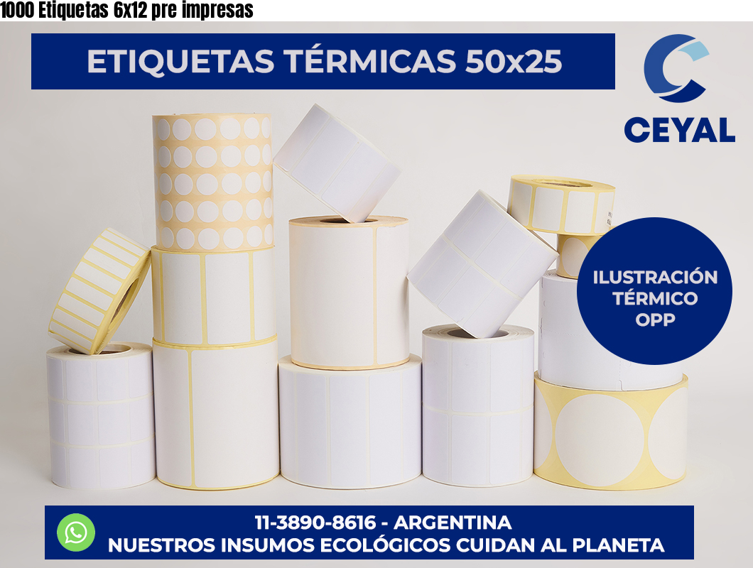 1000 Etiquetas 6×12 pre impresas