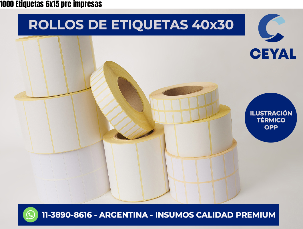 1000 Etiquetas 6×15 pre impresas