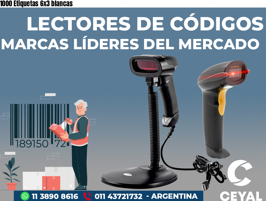 1000 Etiquetas 6x3 blancas
