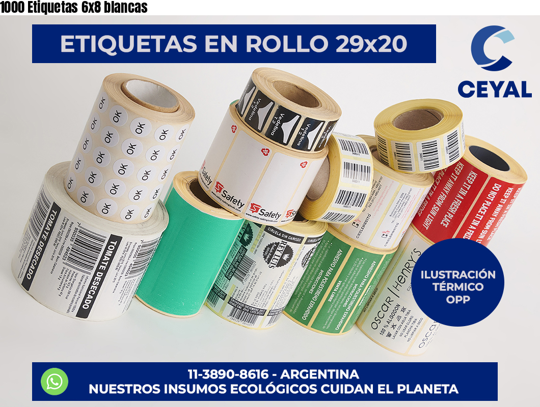 1000 Etiquetas 6×8 blancas