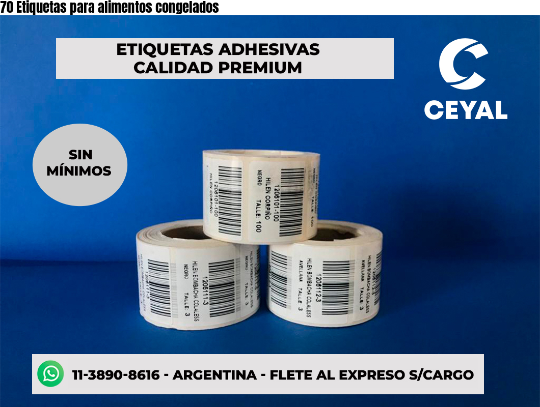 70 Etiquetas para alimentos congelados