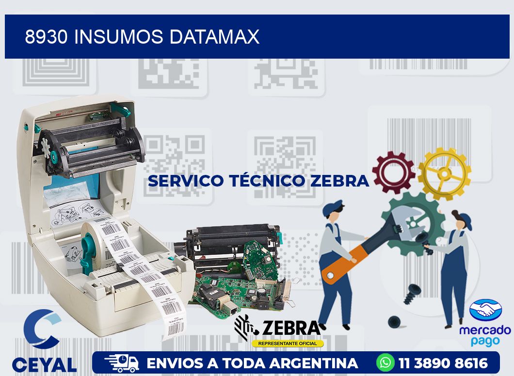 8930 INSUMOS DATAMAX