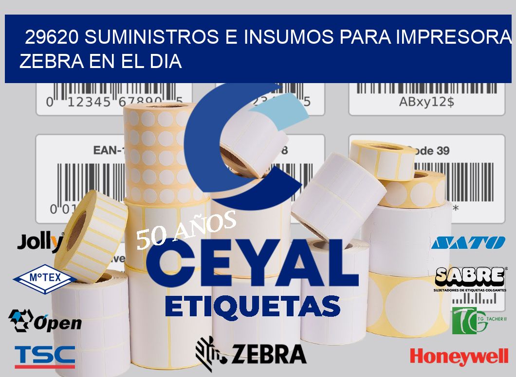29620 SUMINISTROS E INSUMOS PARA IMPRESORA ZEBRA EN EL DIA