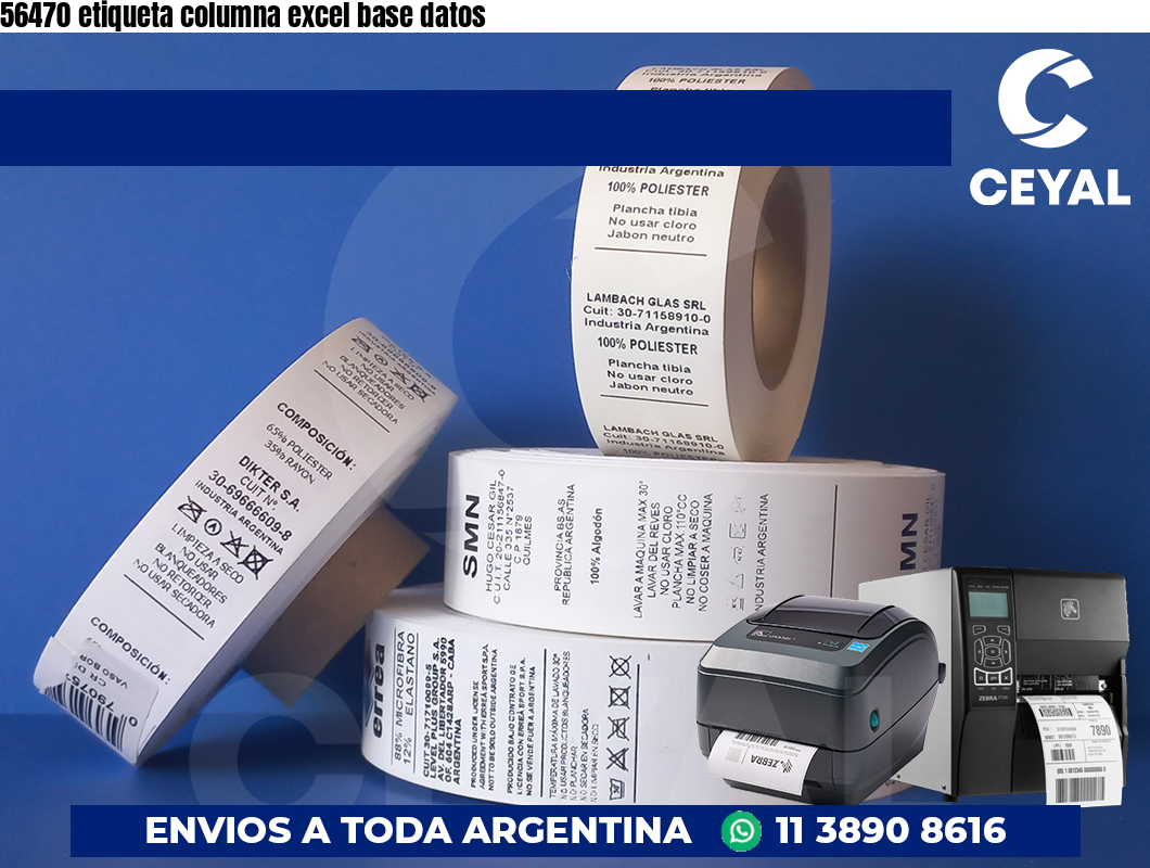56470 etiqueta columna excel base datos