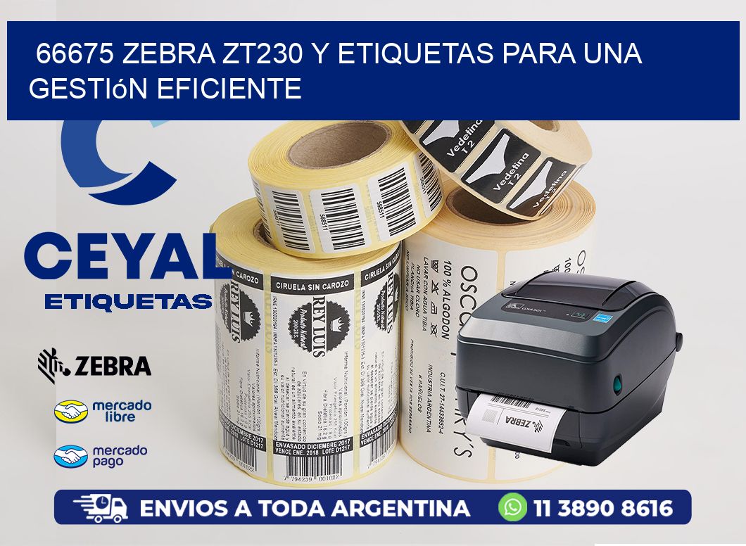 66675 Zebra ZT230 y Etiquetas para una Gestión Eficiente