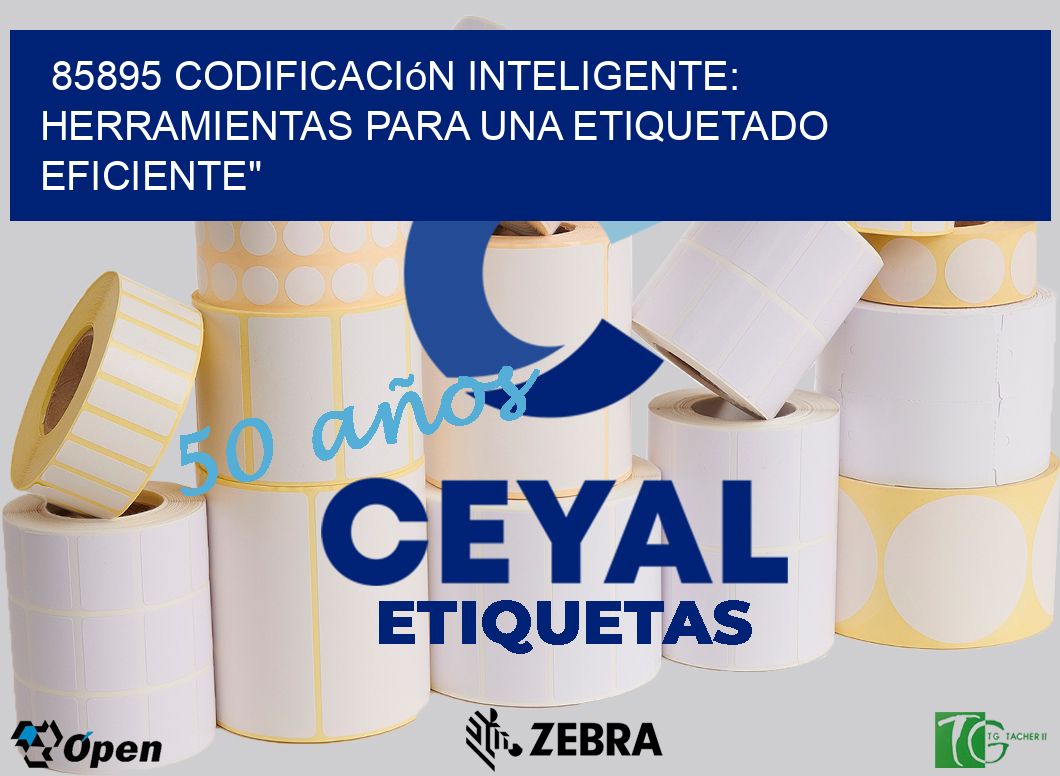 85895 Codificación Inteligente: Herramientas para una Etiquetado Eficiente”