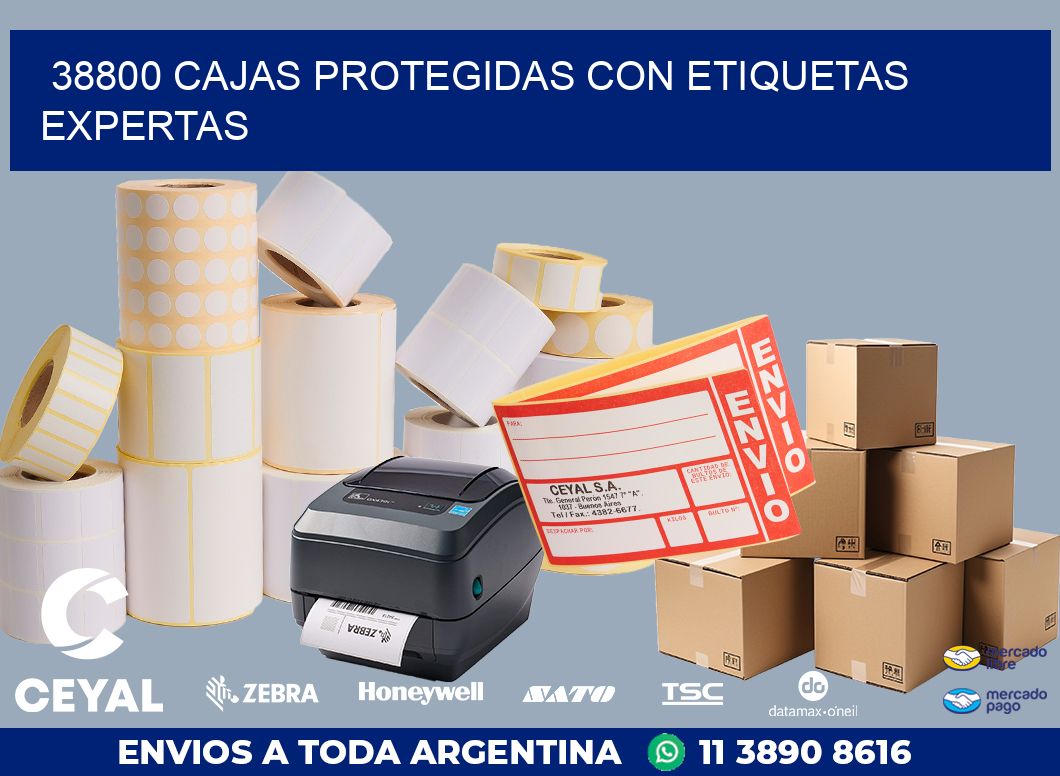38800 CAJAS PROTEGIDAS CON ETIQUETAS EXPERTAS