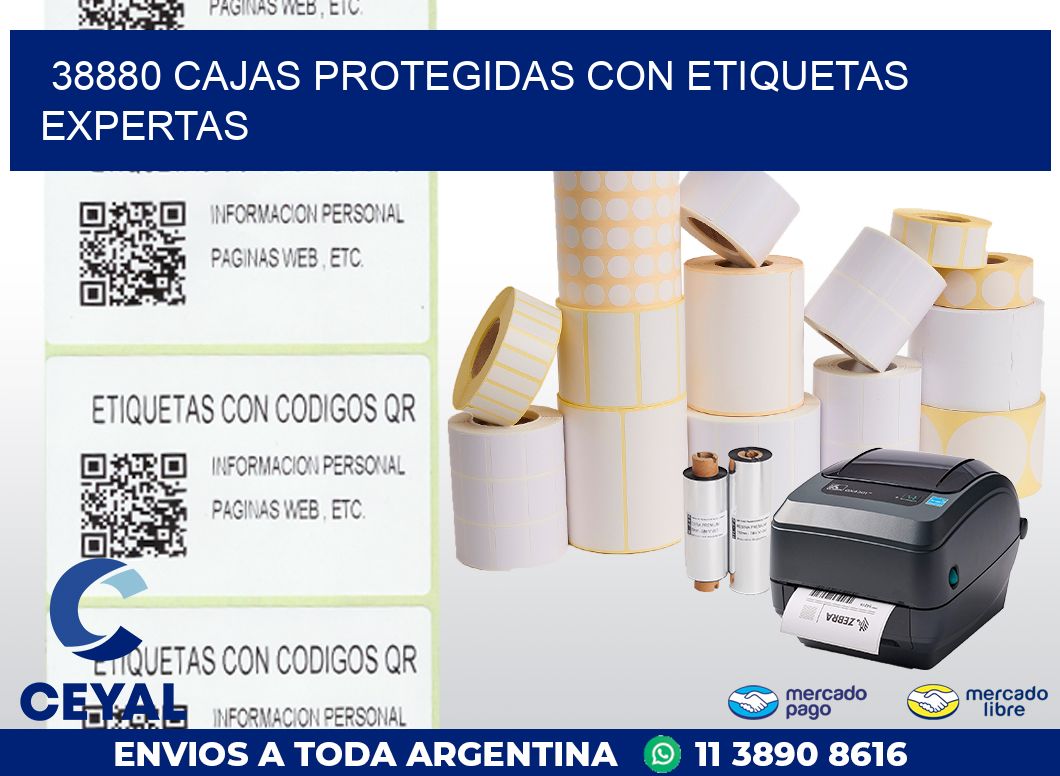 38880 CAJAS PROTEGIDAS CON ETIQUETAS EXPERTAS