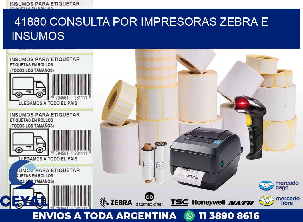 41880 CONSULTA POR IMPRESORAS ZEBRA E INSUMOS