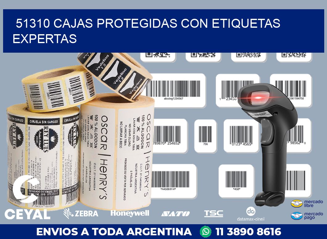 51310 CAJAS PROTEGIDAS CON ETIQUETAS EXPERTAS