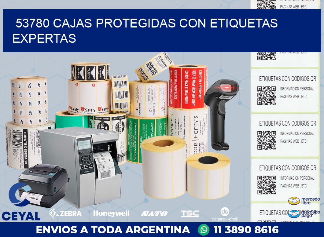 53780 CAJAS PROTEGIDAS CON ETIQUETAS EXPERTAS