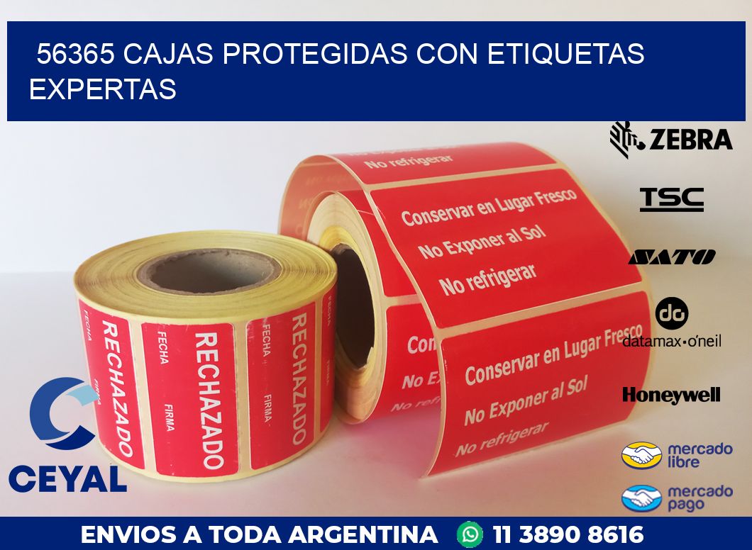 56365 CAJAS PROTEGIDAS CON ETIQUETAS EXPERTAS
