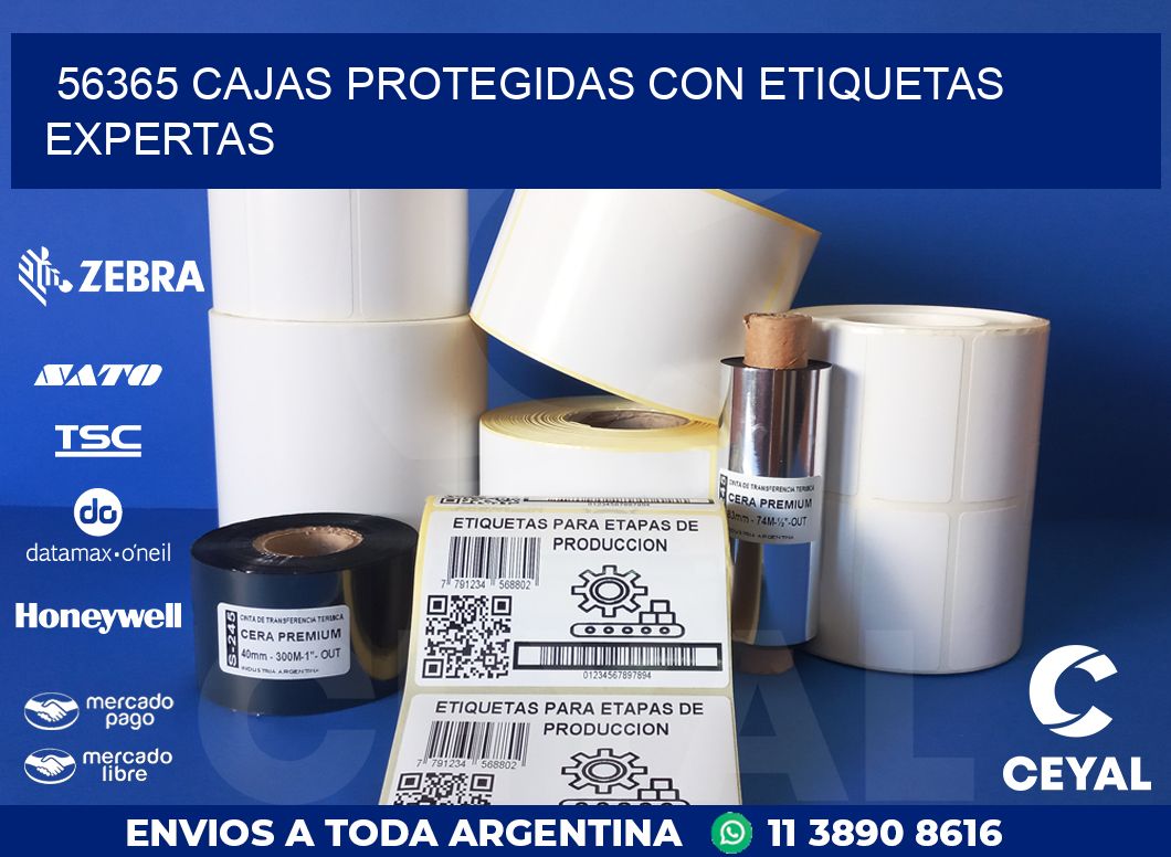 56365 CAJAS PROTEGIDAS CON ETIQUETAS EXPERTAS