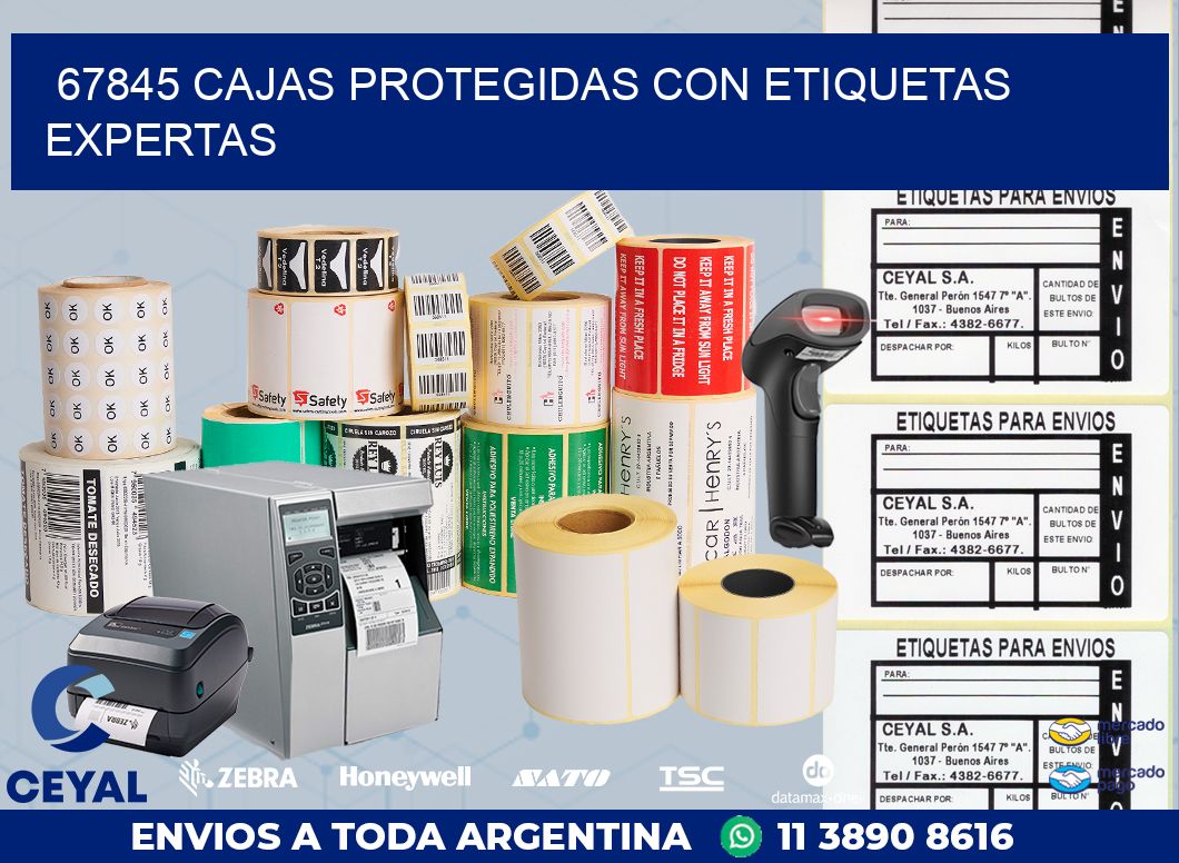 67845 CAJAS PROTEGIDAS CON ETIQUETAS EXPERTAS