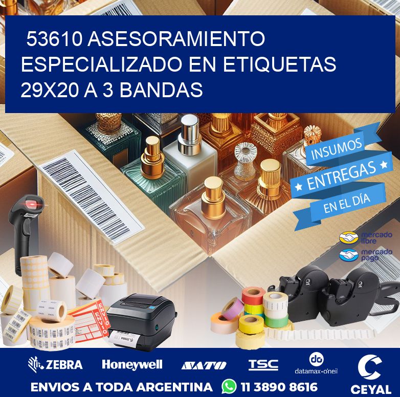 53610 ASESORAMIENTO ESPECIALIZADO EN ETIQUETAS 29X20 A 3 BANDAS