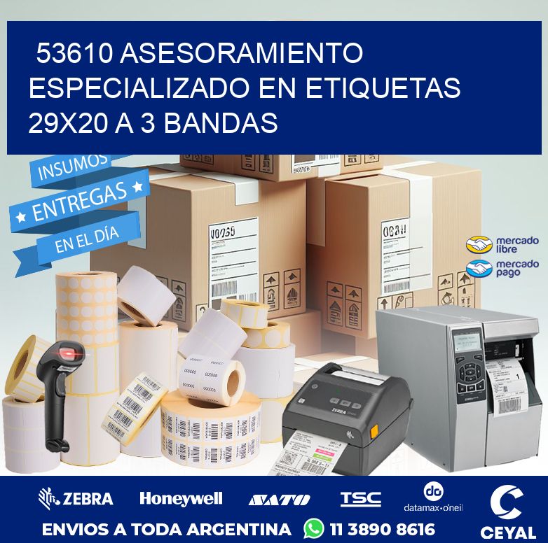 53610 ASESORAMIENTO ESPECIALIZADO EN ETIQUETAS 29X20 A 3 BANDAS