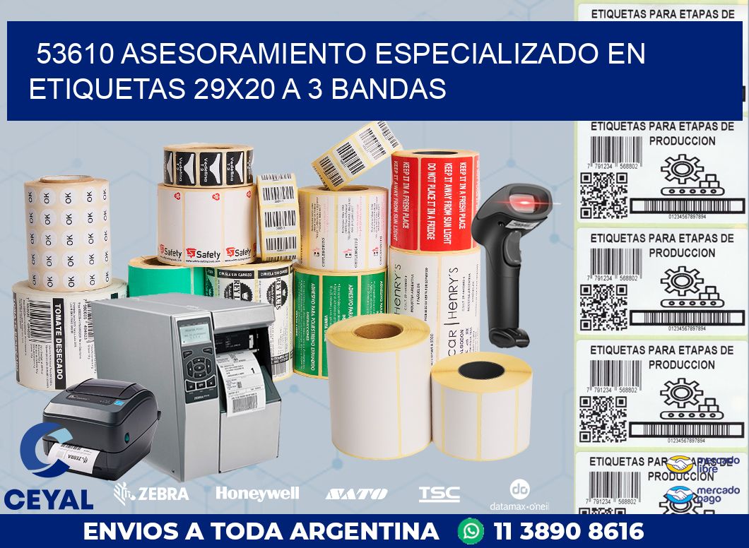 53610 ASESORAMIENTO ESPECIALIZADO EN ETIQUETAS 29X20 A 3 BANDAS