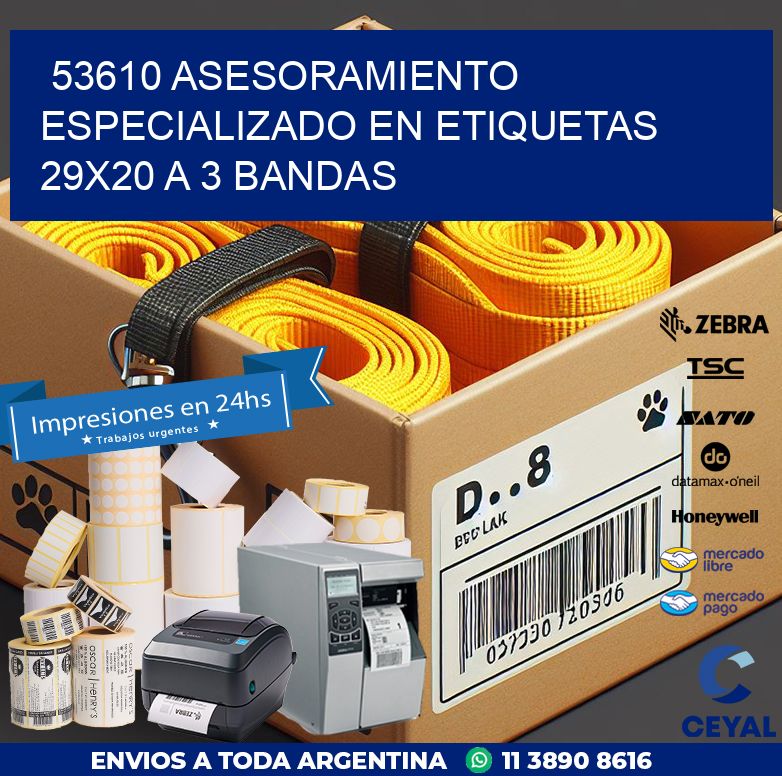 53610 ASESORAMIENTO ESPECIALIZADO EN ETIQUETAS 29X20 A 3 BANDAS