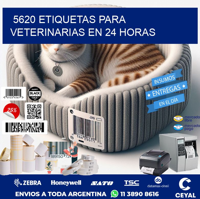 5620 ETIQUETAS PARA VETERINARIAS EN 24 HORAS