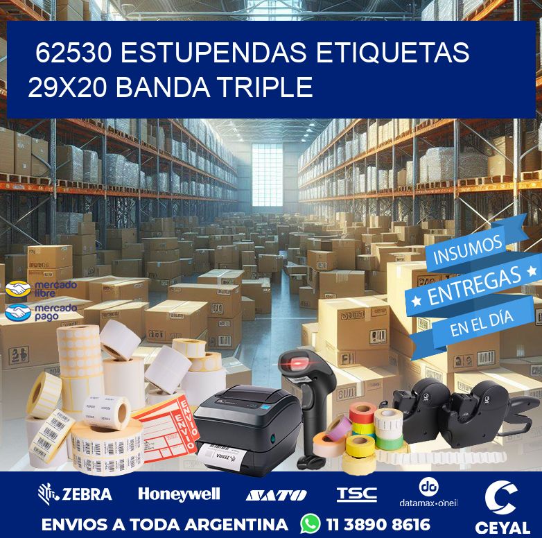 62530 ESTUPENDAS ETIQUETAS 29X20 BANDA TRIPLE
