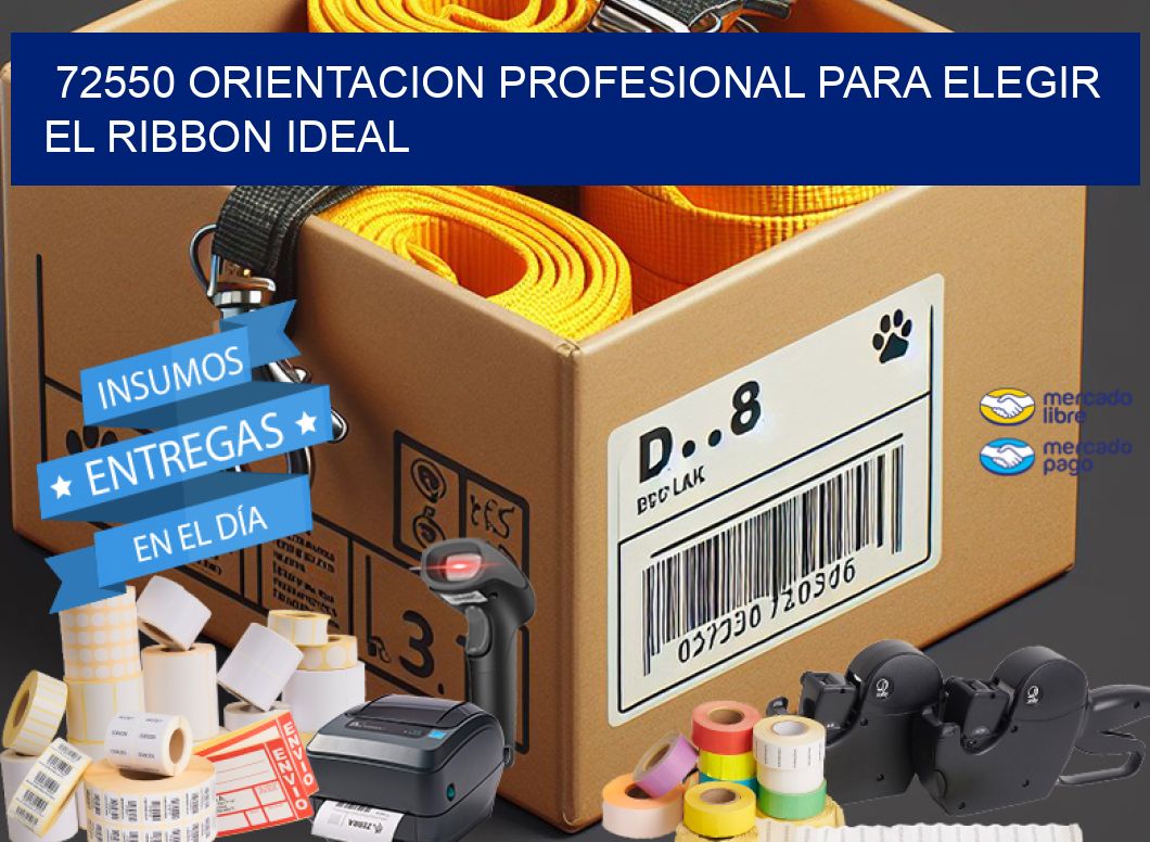72550 ORIENTACION PROFESIONAL PARA ELEGIR EL RIBBON IDEAL