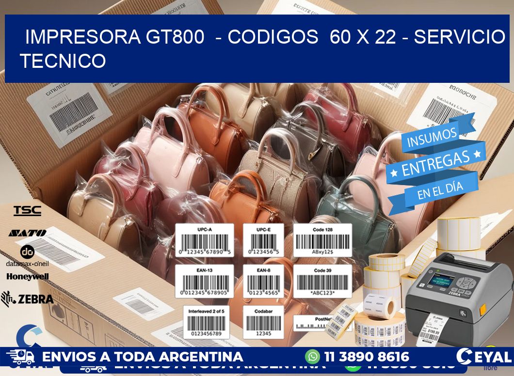 IMPRESORA GT800 - CODIGOS 60 x 22 - SERVICIO TECNICO