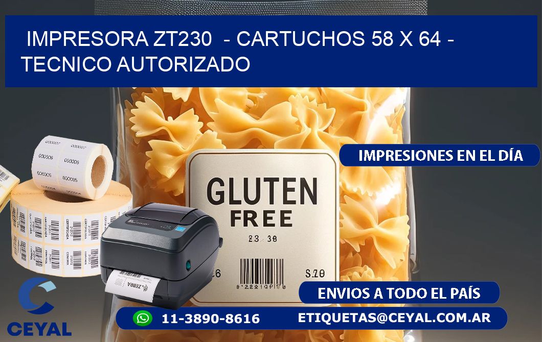 IMPRESORA ZT230 - CARTUCHOS 58 x 64 - TECNICO AUTORIZADO